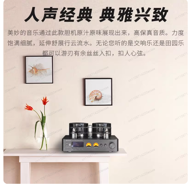 220V 400W * 2 High Fidelity Wi - Audio Music Youtube บทวิจารณ์และราคา