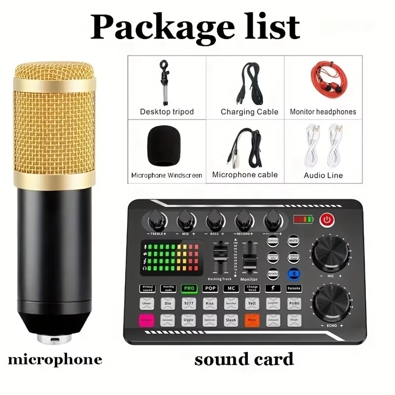 Condenser Microphone Professio - Audio Music Changer บทวิจารณ์และราคา